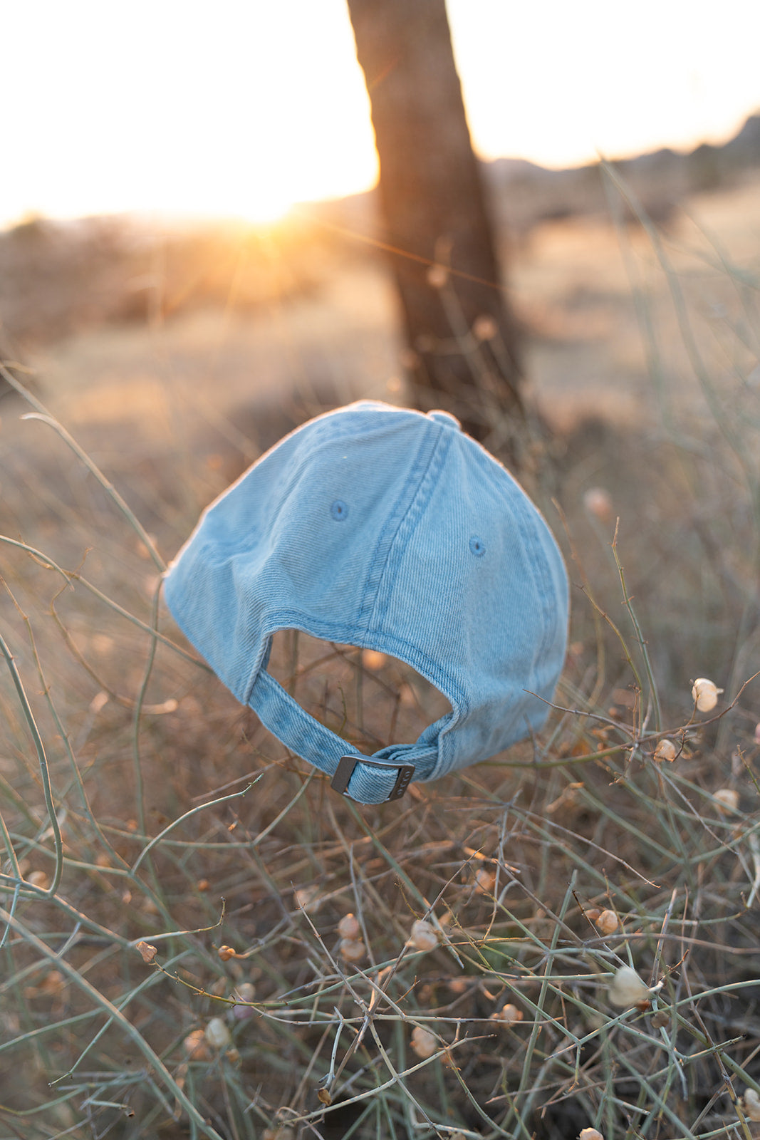 Morning Blue